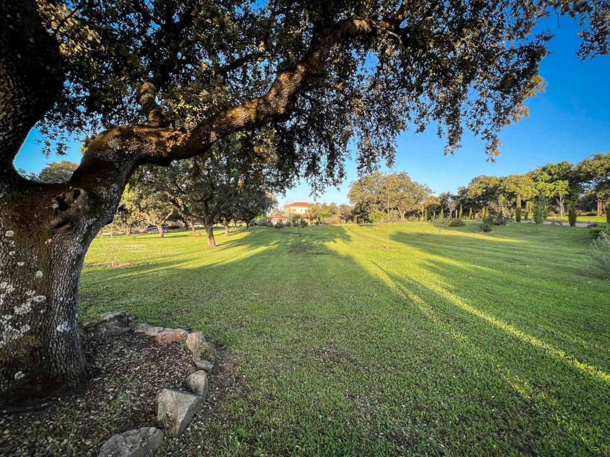 La Encina Guapa Casa Rural 20,000M2 De Intimidad Villa La Iglesuela Buitenkant foto