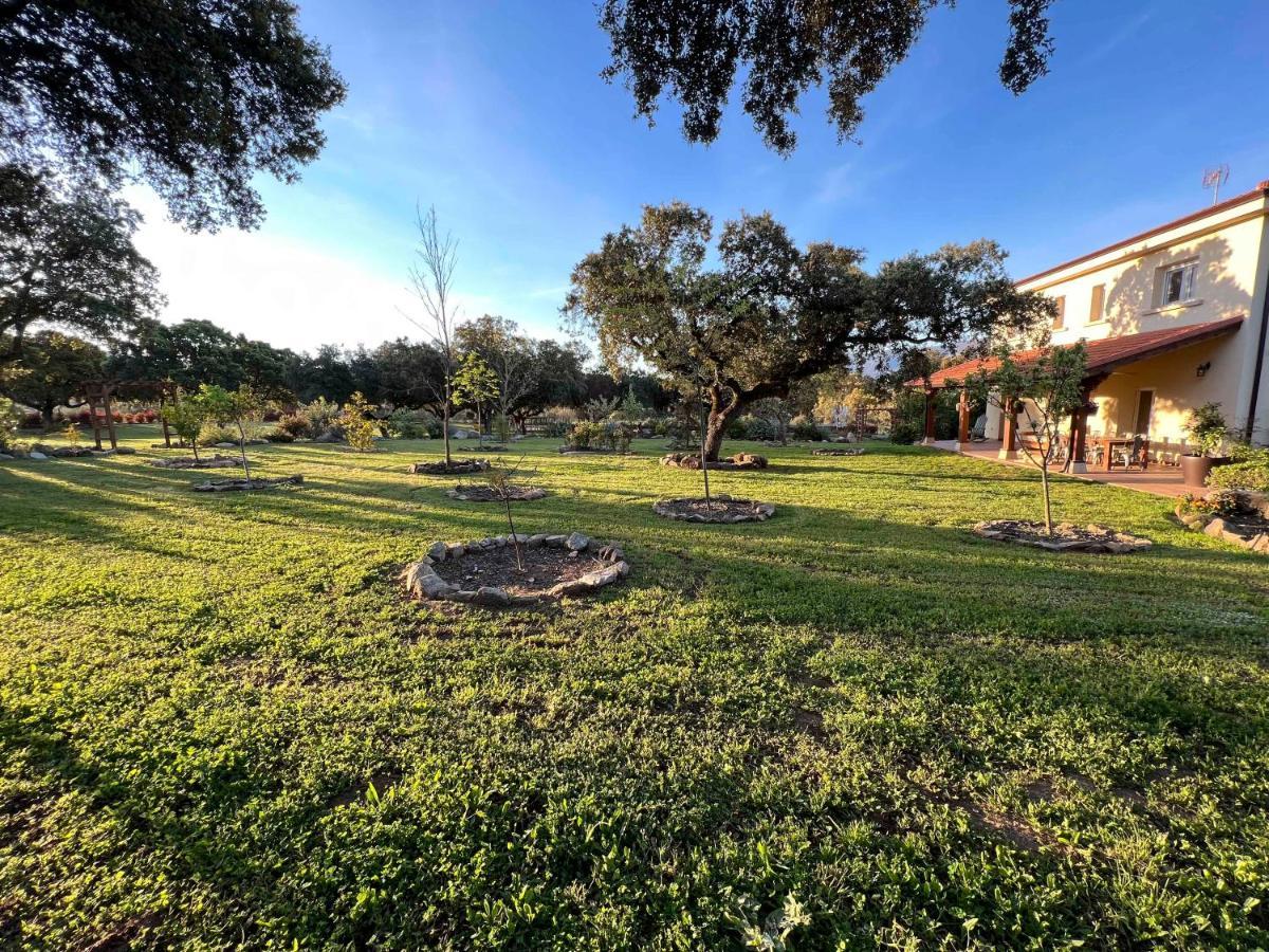 La Encina Guapa Casa Rural 20,000M2 De Intimidad Villa La Iglesuela Buitenkant foto