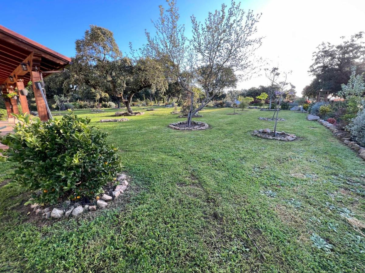 La Encina Guapa Casa Rural 20,000M2 De Intimidad Villa La Iglesuela Buitenkant foto